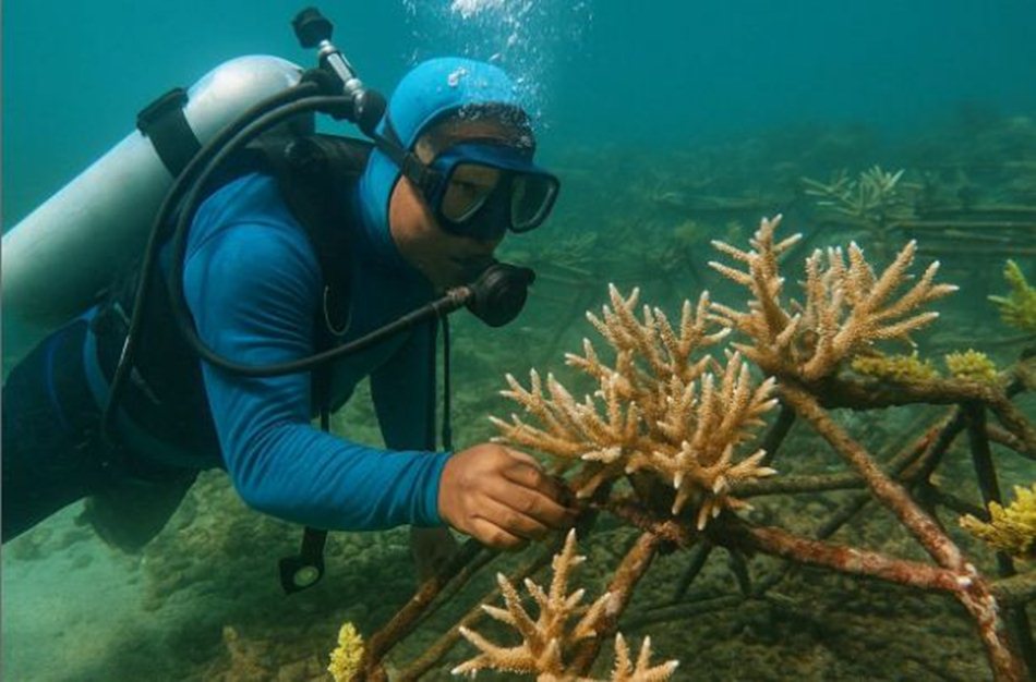 Laut Botutonuo di Kabupaten Bone Bolango kini kembali berwarna.(F:dok)