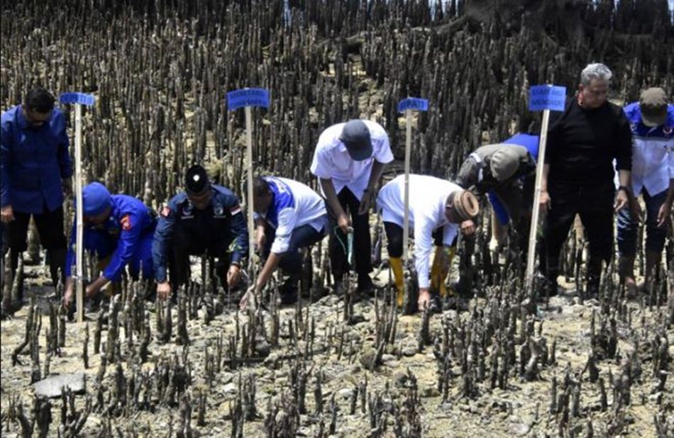 Komjen Makhruzi Tanam Mangrove bersama Bupati Bone Bolango, Janjikan Program Ekonomi Laut dan Wisata Bahari.(F:AKP).