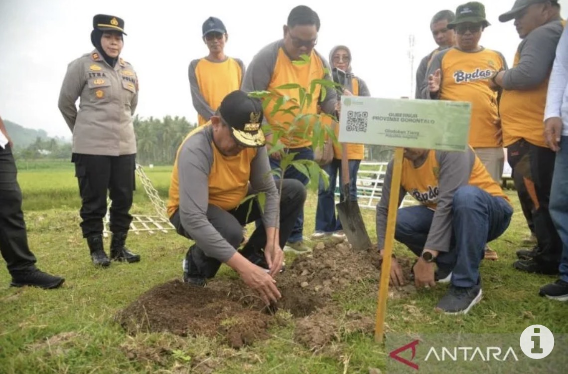 Pemprov Gorontalo hijaukan kembali akses jalan GORR