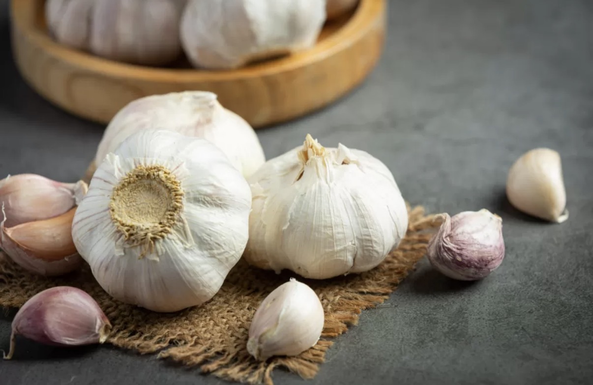 Bawang putih (Dok. Freepik)