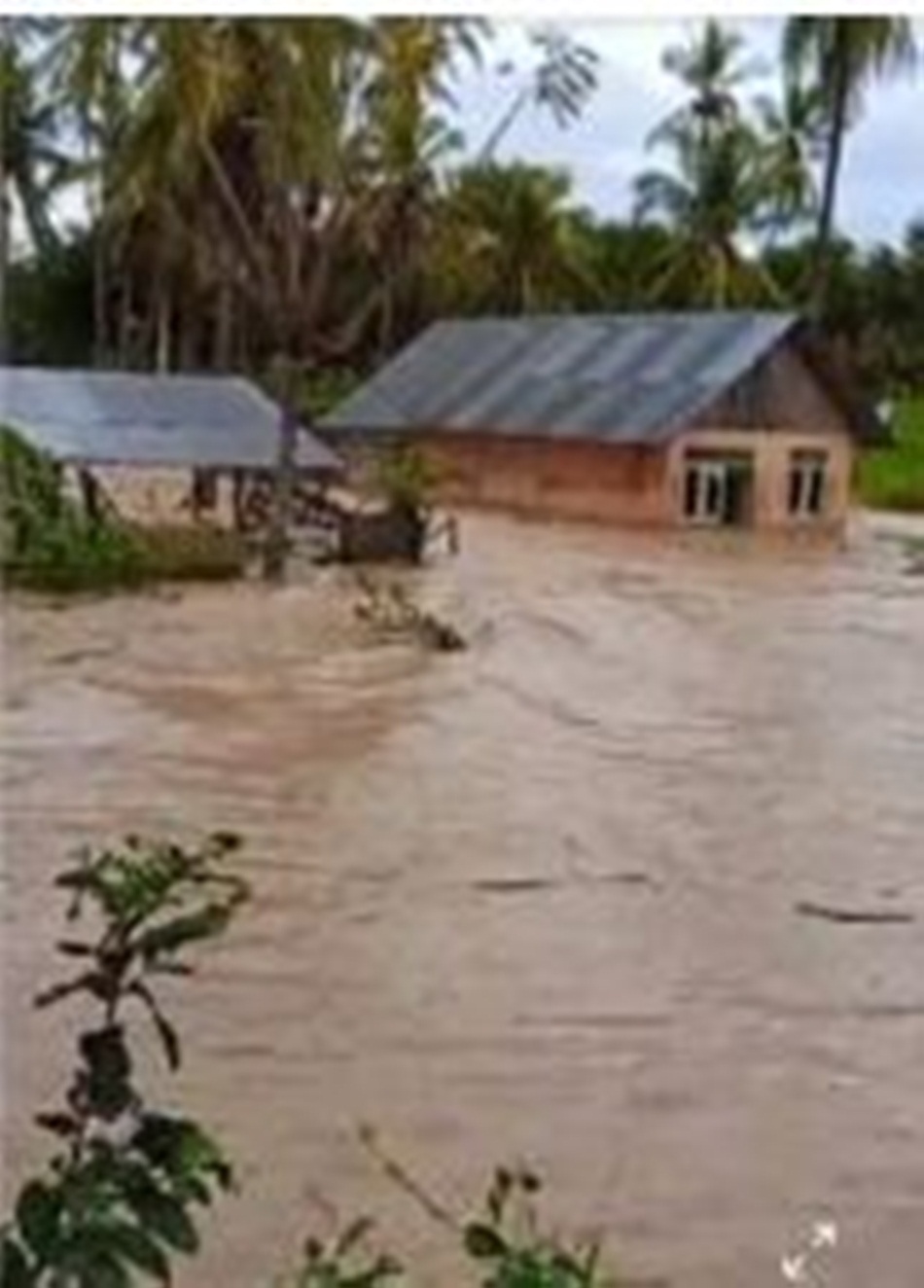 Suasana banjir saat melanda Desa Teratai Kab Pohuwato.(F:ist)