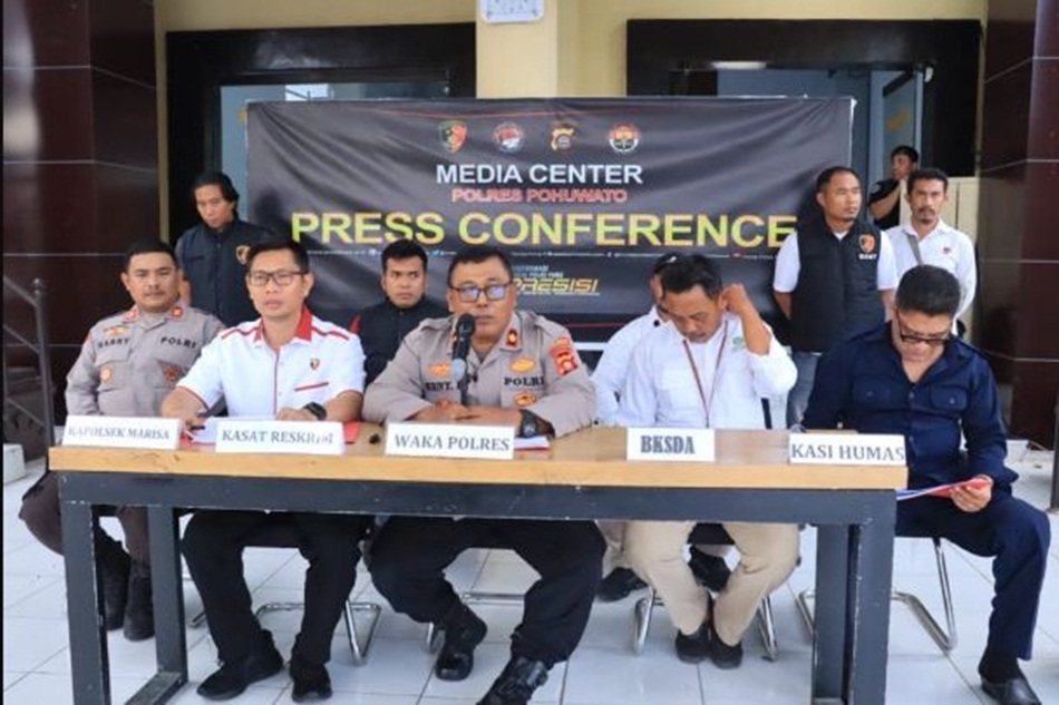 konferensi pers yang dipimpin Wakapolres Pohuwato Kompol Henny Mudji Rahaju, didampingi jajaran Satuan Reskrim dan Intelkam, serta dihadiri unsur BKSDA.(F:Hms-Pol)