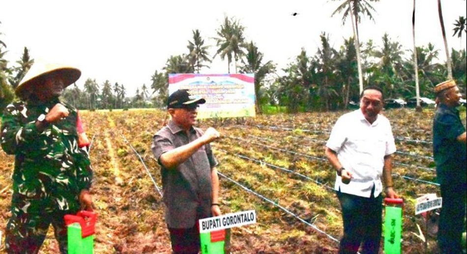 Bupati Sofyan Puhi mengikuti kegiatan Tanam Raya Jagung Serentak Kuartal I   yang terhubung secara virtual dengan Kapolri.(F:Kmfo)