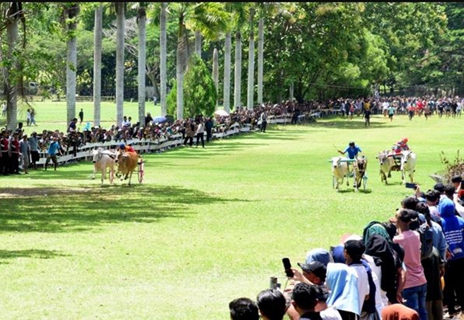 Lomba pacuan kuda pada pelaksanaan peraayaan ketupat tahun sebelumnya (F:dok Kmfo)
