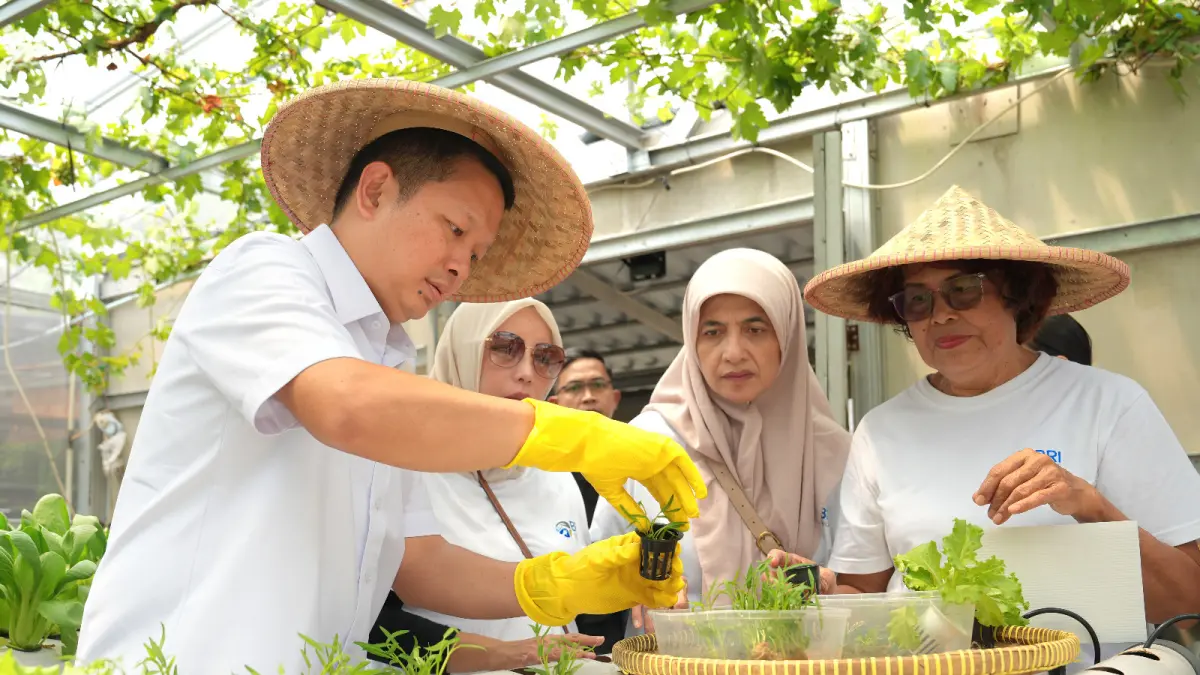 Lahan milik Kelompok Tani Buaran Citra Lestari