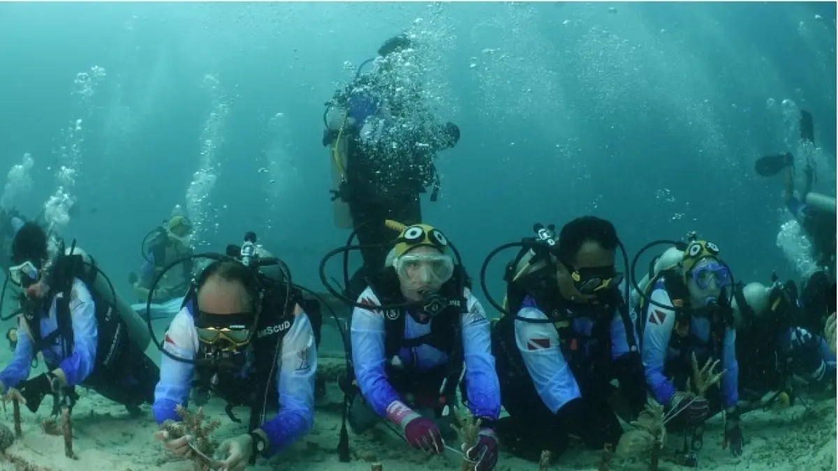 Pekerja BRI Lakukan Transplantasi Terumbu Karang di Perairan Kepulauan Sabang