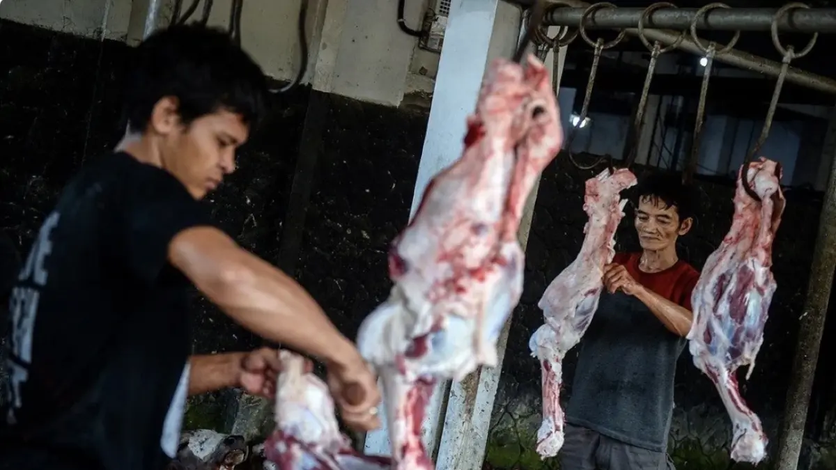 Arsip Foto - Pekerja memotong daging kurban sapi di UPT Rumah Potong Hewan (RPH) Bayur, Kota Tangerang, Banten, Jumat (6/6/2025). ANTARA FOTO/Putra M. Akbar/nym/am.
