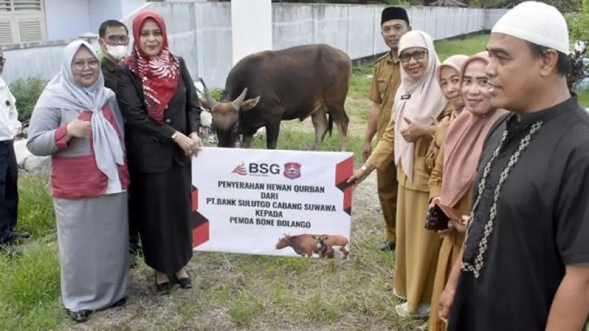Penyerahan hewan kurban PT. Bank SulutGo kepada Pemda Bone Bolango oleh Wakil 

Pemimpin PT. Bank SulutGo Cabang Suwawa, Selvi Tombokan dan diterima langsung 
oleh Kepala Bagian Tata Pemerintahan dan Kesra Setda Kabupaten Bone Bolango, Erna 
Patuti. (F.dok.istimewa)