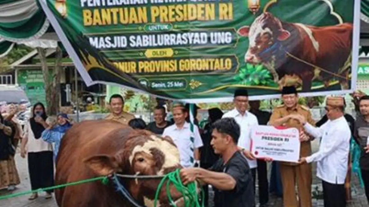 Sapi kurban bantuan Presiden diserahkan Gubernur Gorontalo Gusnar Ismail diterima pihak Universitas Negeri Gorontalo yang diwakili oleh Wakil Rektor. (F:ist)