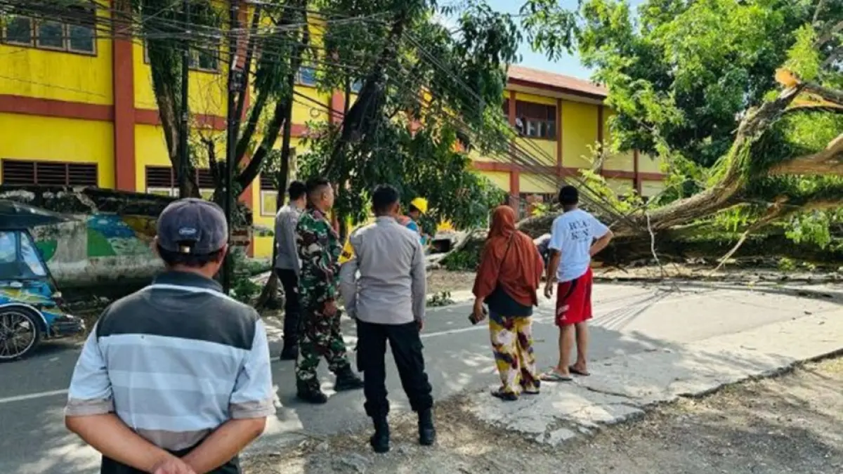 Pohon berukuran besar yang roboh di ruas jalan antara Desa Mongolato dan Desa Bulila sempat mengganggu kelancaran lalu lintas. (F:Hms-Pol)