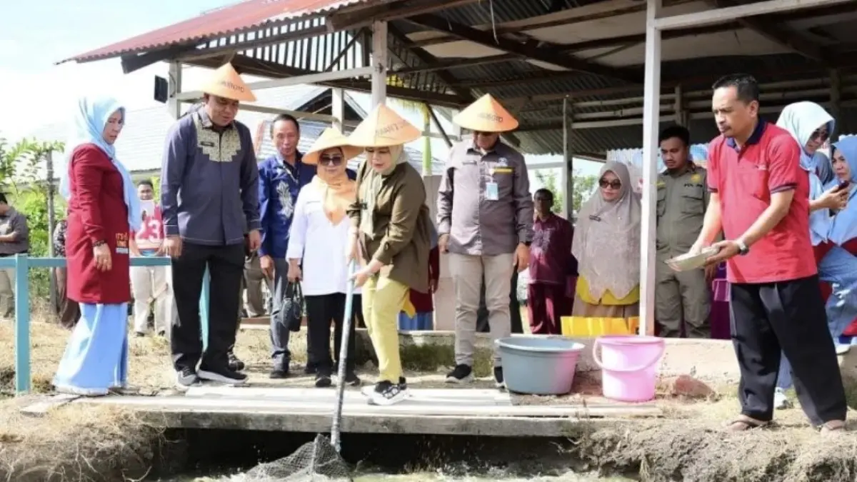 Wakil Gubernur Gorontalo Idah Syahidah Rusli Habibie saat melakukan panen ikan lele yang dihasilkan oleh Siswa SMA Negeri 2 Limboto lewat program Aksi Kokurikuler Ketahanan Pangan, Kamis (18/6/ (ANTARA/HO-Diskominfotik)