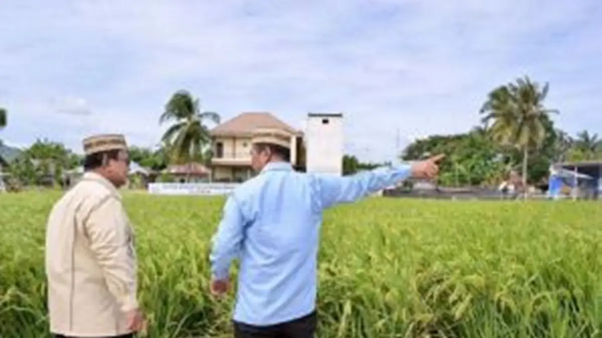 Presiden Prabowo didampingi Mentan Amran Sulaiman meninjau lokasi PENAS KTNA (F:Istimewa)