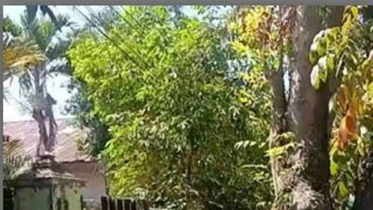 Warga di Jalan Hi. Joesoef Dalie, Kelurahan Paguyaman, Kecamatan Kota Tengah, Kota Gorontalo, dikejutkan dengan penemuan seorang perempuan lanjut usia (lansia) berusia 67 tahun yang meninggal dunia di dalam rumahnya.(F:istimewa)
