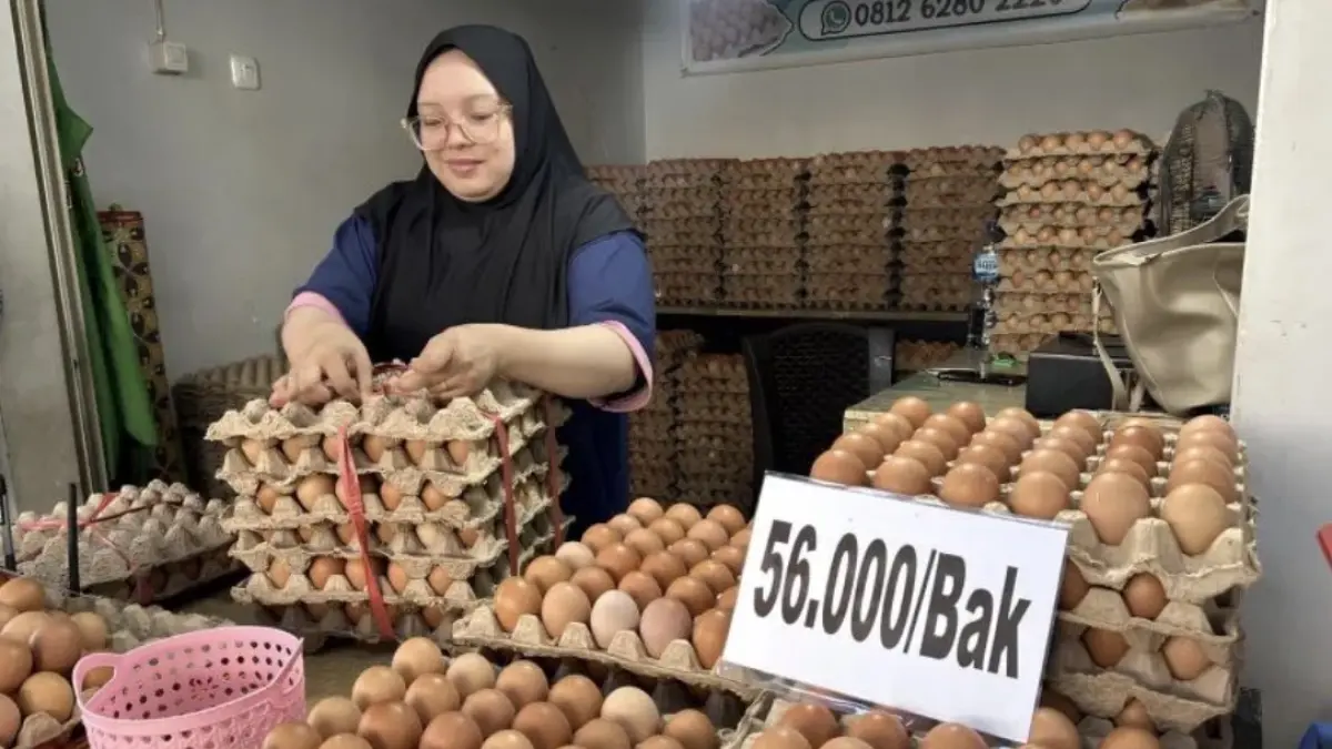 Pedagang telur Lapak Aisyah di Gorontalo, Putri Hasan saat mengatur pemesanan telur pelanggan, Selasa (25/8/2026). (ANTARA/Faradila Alim)