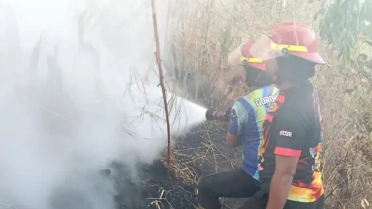 BPBD Provinsi Gorontalo bersama BPBD kabupaten/kota terus memperkuat penanganan 
di lapangan bersama masyarakat dan aparat TNI Polri ikut bahu membahu memadamkan api.(F:BPBD)