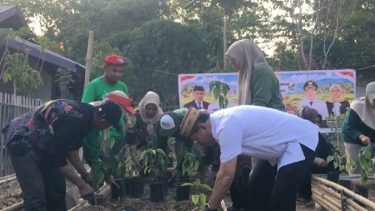 Sekretaris Daerah Bone Bolango, Iwan Mustapa saat melakukan penanaman cabai di Lahan Pekarangan Nila Bioflok Iswan, Kecamatan Suwawa.(F:Diskominfo)