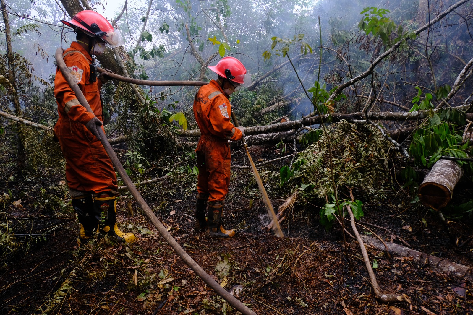 PEMBASAHAN: Relawan Tim Cegah Api (TCA) Greenpeace Indonesia melakukan pembasahan ke tanah gambut yang terbakar di Dusun Bunga Baru, Desa Madusari, Kecamatan Sungai Raya, Kabupaten Kubu Raya, Kalimant