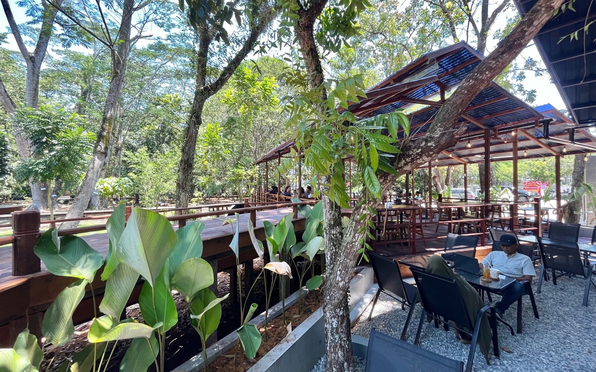 Suasana teduh bak di tengah hutan di Aming Coffee Hutan Kota di Jalan Veteran Kota Pontianak.