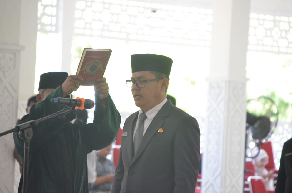 Romy Wijaya