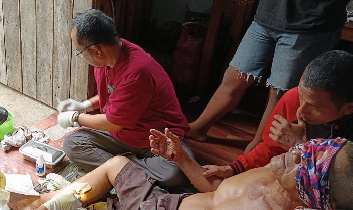 Warga yang diserang orangutan mengalami luka-luka dan mendapatkan perawatan dari tenaga medis, Kamis (7/9).