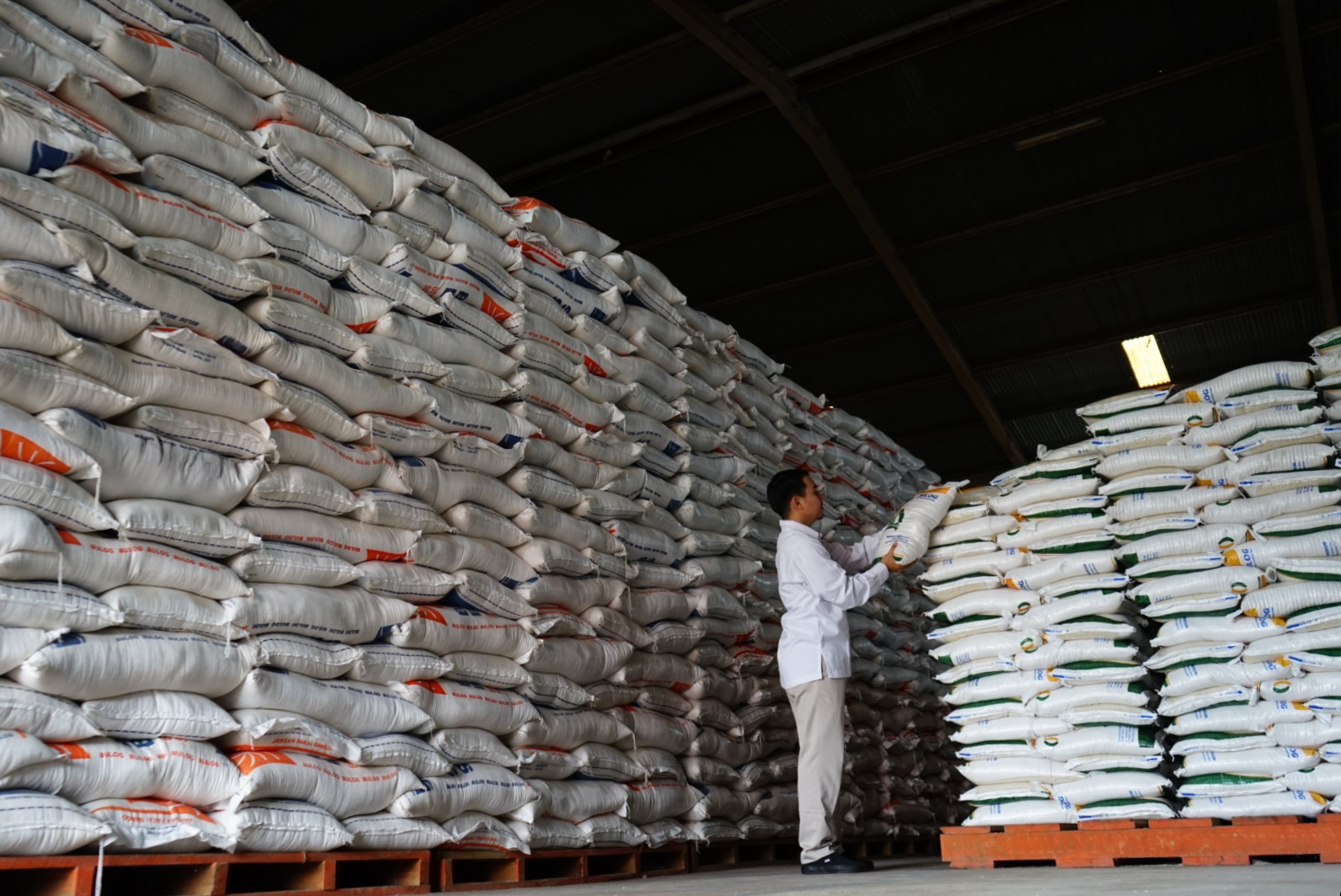 Perum Bulog Kalbar mempercepat penyaluran cadangan beras pemerintah (CBP) untuk bantuan pangan, Senin (11/9). Bantuan pangan beras tahap II ini sebanyak 10,087 ton kepada 336.266 keluarga penerima.