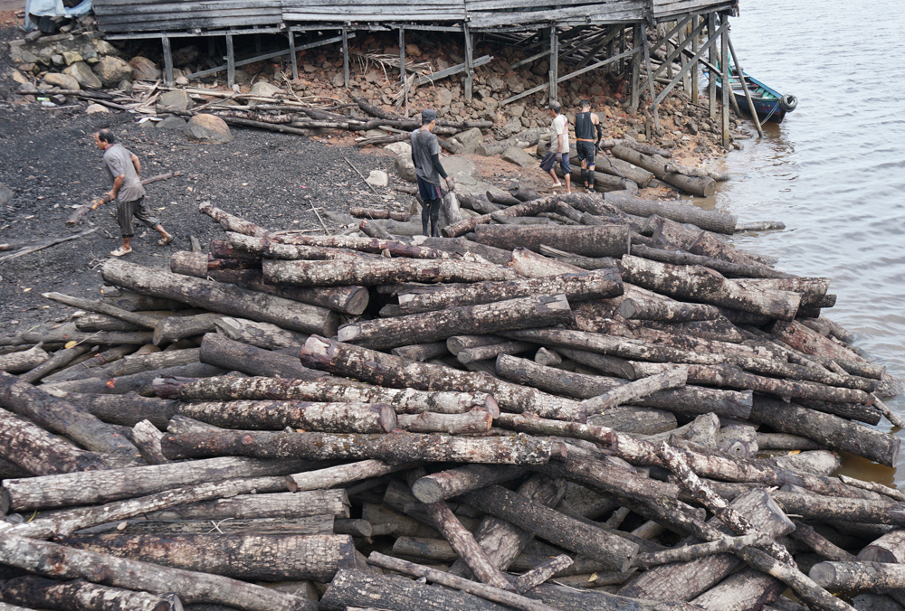 Warga di desa Batu Ampar bekerja memindahkan potongan kayu bakau untuk dinaikan dari pinggir Sungai lalu diproses menjadi arang bakau.