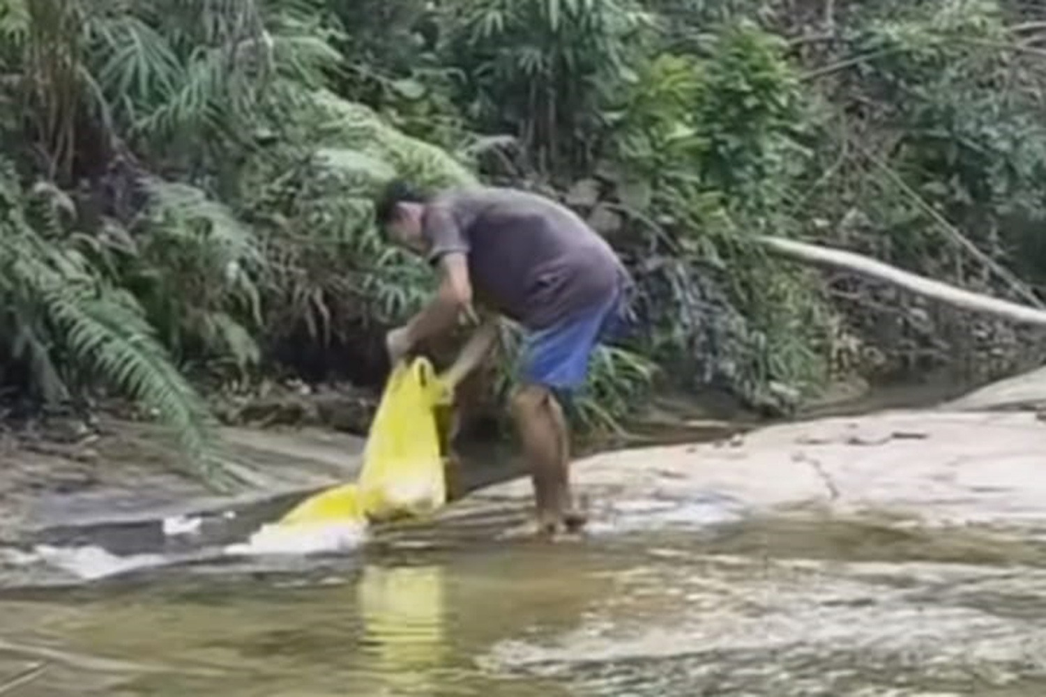 BUANG SAMPAH: Seorang warga Kecamatan Ngabang terekam kamera saat membuang sampah ke aliran sungai.