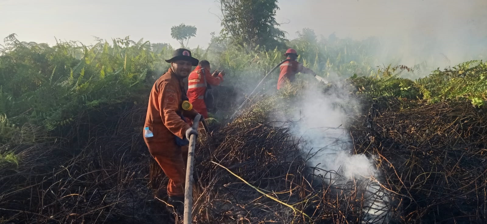 PADAMKAN API: Petugas saat memadamkan api di lokasi Kebakaran Hutan dan Lahan, perbatasan Desa Pulau Kumbang, dan Padu Banjar, Kecamatan Simpang Hilir.
