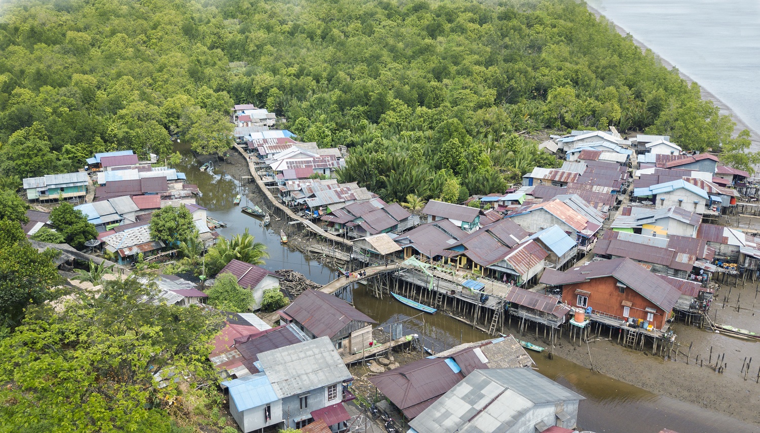 HUTAN MANGROVE. Masyarakat Desa Batu Ampar, Kubu Raya, Kalbar hidup berdampingan dengan hutan mangrove di pesisir. Mereka menggantungkan hidup dari tangkapan ikan di sekitar perairan mangrove.