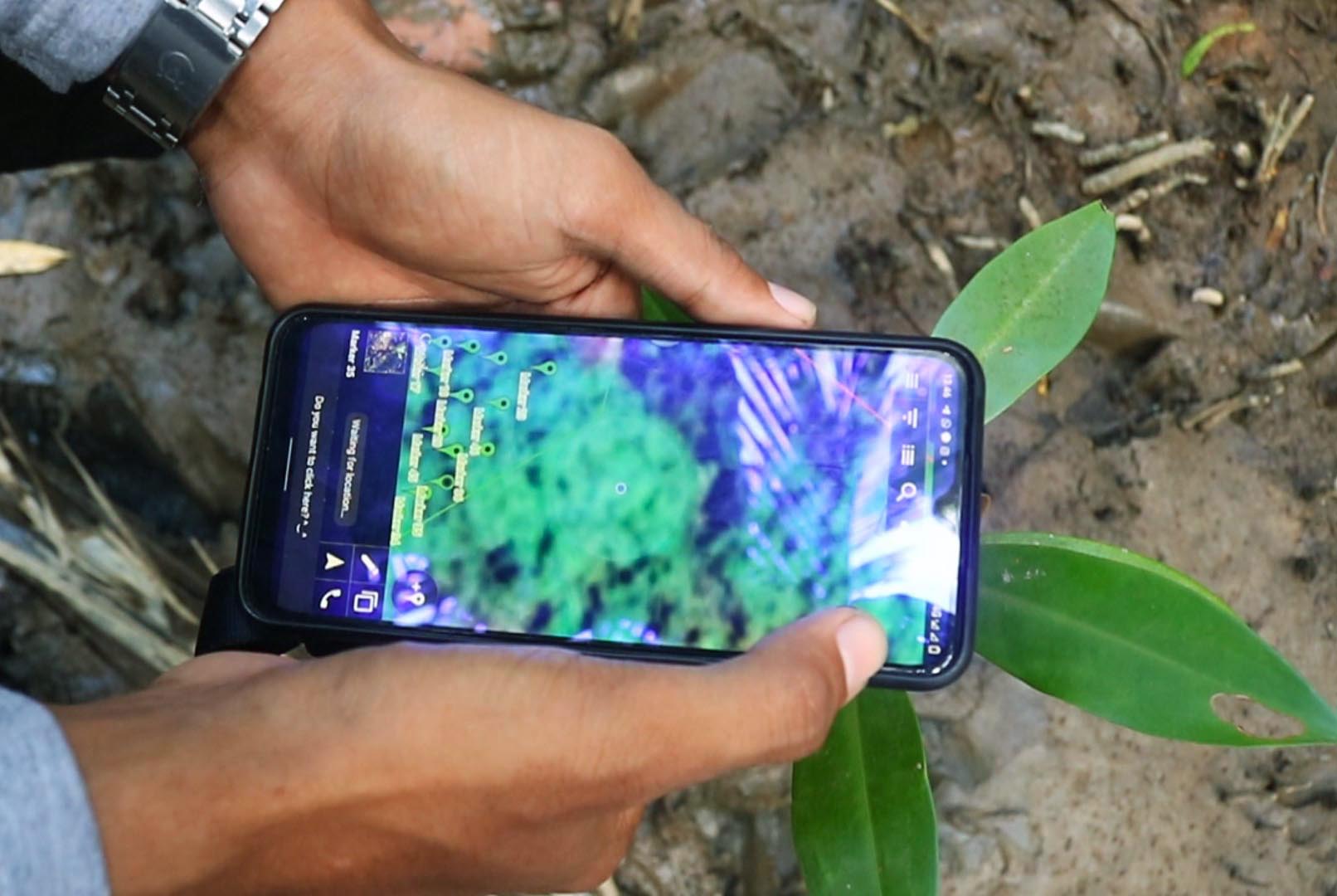 MANGROVE DIGITAL. Di Desa Sungai Kupah, Kubu Raya, sejumlah pemuda menggunakan teknologi digital untuk mengajak orang terlibat dalam pemulihan hutan mangrove dengan cara mengadopsi tanaman mangrove.