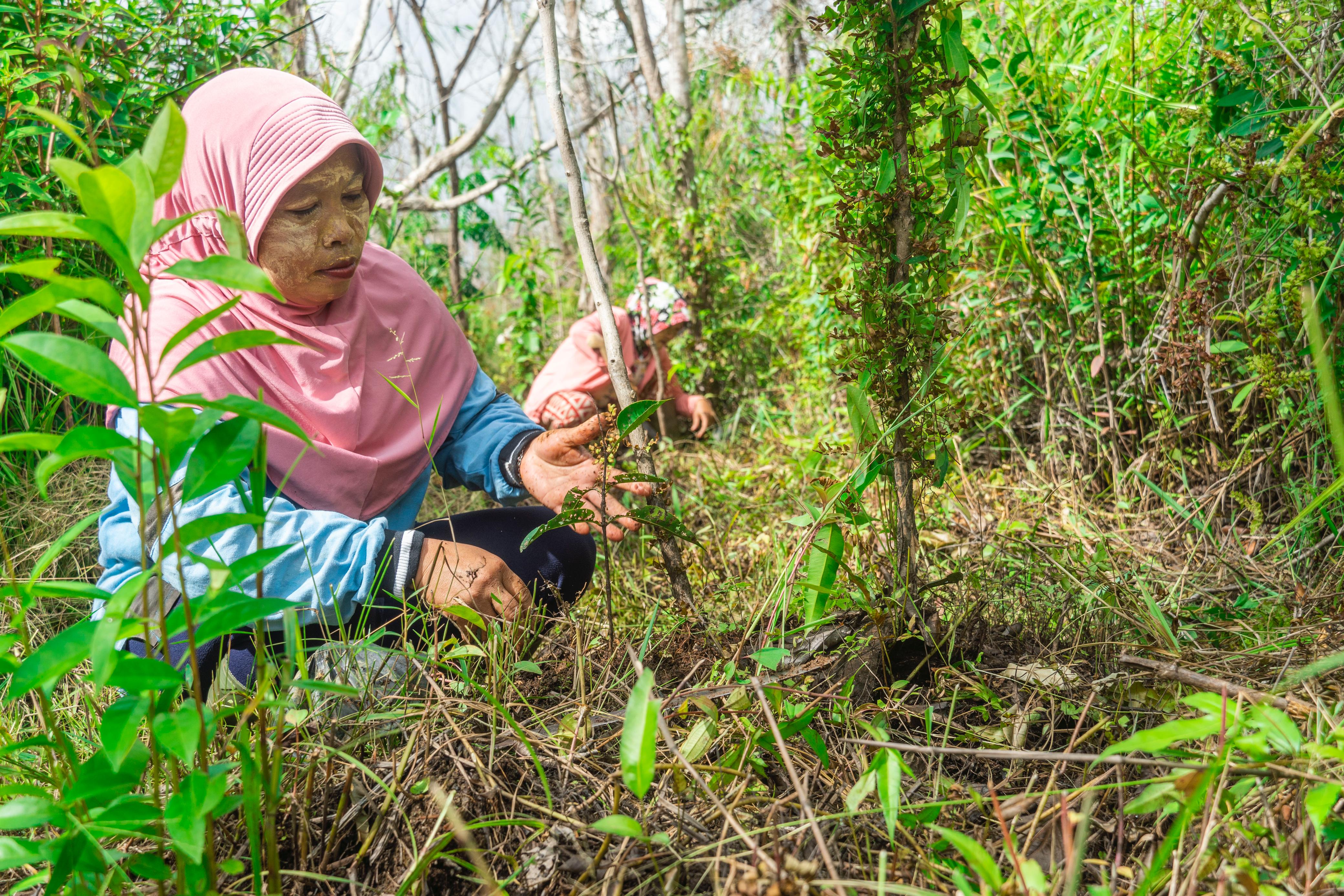 Kaum ibu yang ikut dalam aktivitas restorasi di Sungai Deras sedang melakukan perawatan pada bibit pohon yang sudah ditanam.