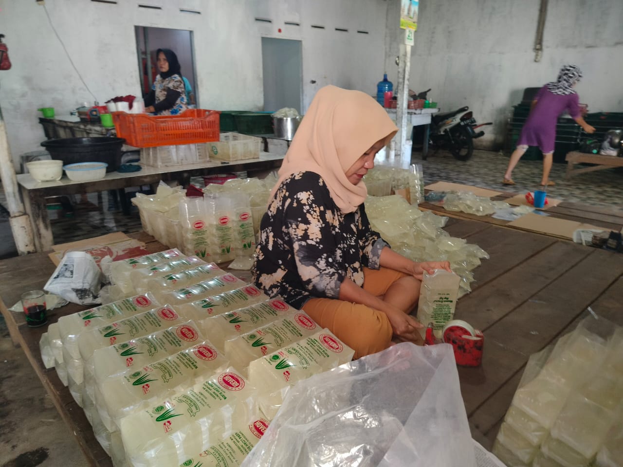 MENGEMAS: Seorang pekerja tengah mengepak minuman lidah buaya ke dalam kemasan di pabrik Hovera, Jalan Kebangkitan Nasional, Siantan, Pontianak Utara.
