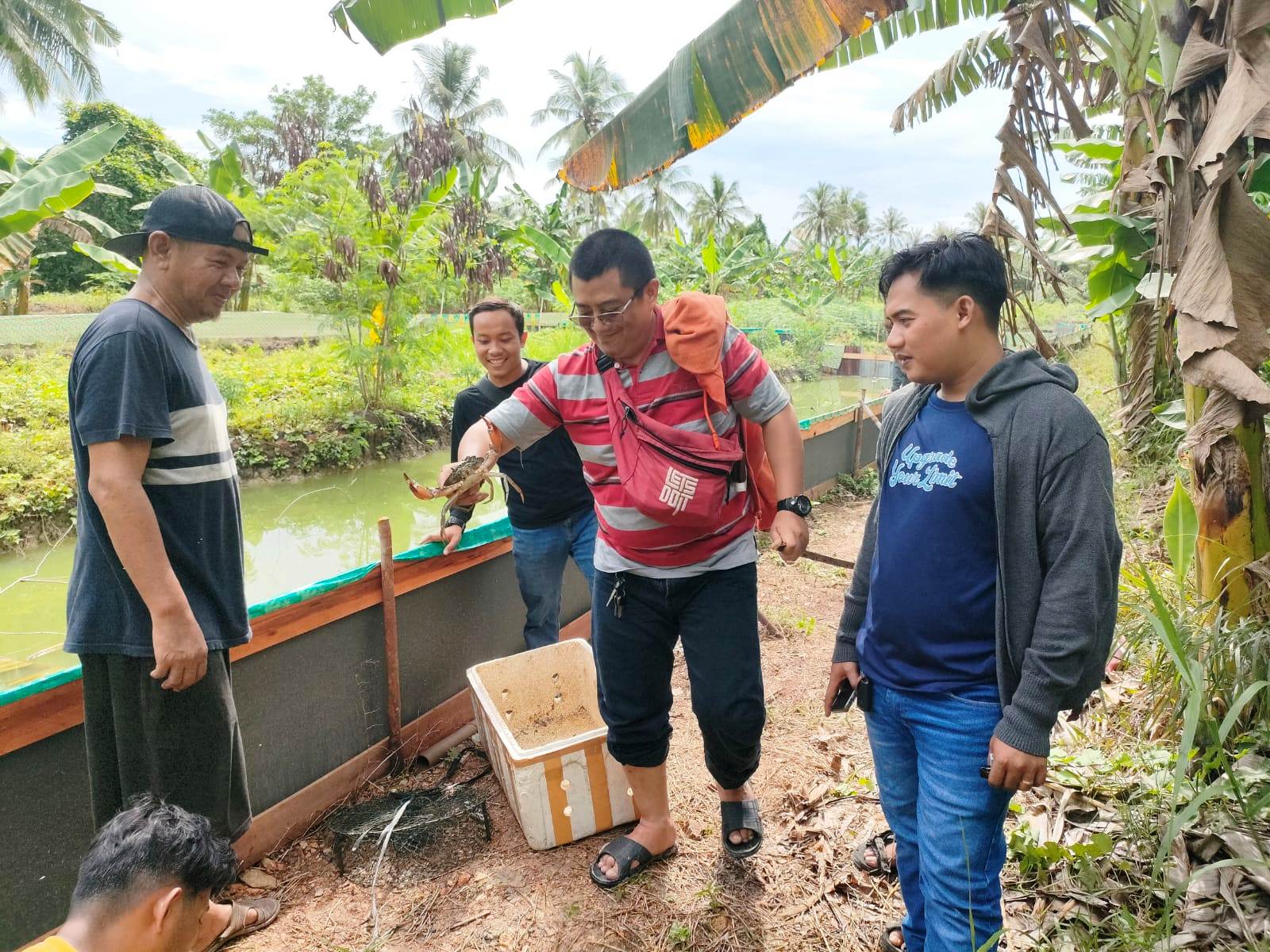 BUDIDAYA : Awak media di Mempawah saat mengunjungi lokasi budidaya kepiting bakau di Desa Pasir.