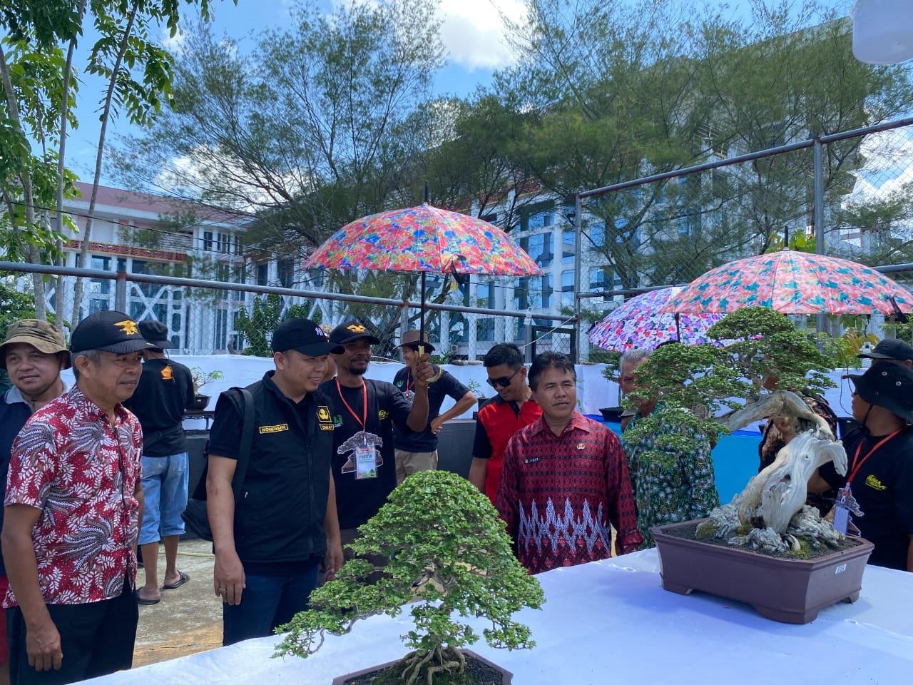PAMERAN: Staf Ahli Bidang Pembangunan Ekonomi dan Keuangan Anem melihat pameran bonsai se-Kalbar di halaman Kantor Bupati Landak, Sabtu (28/10).