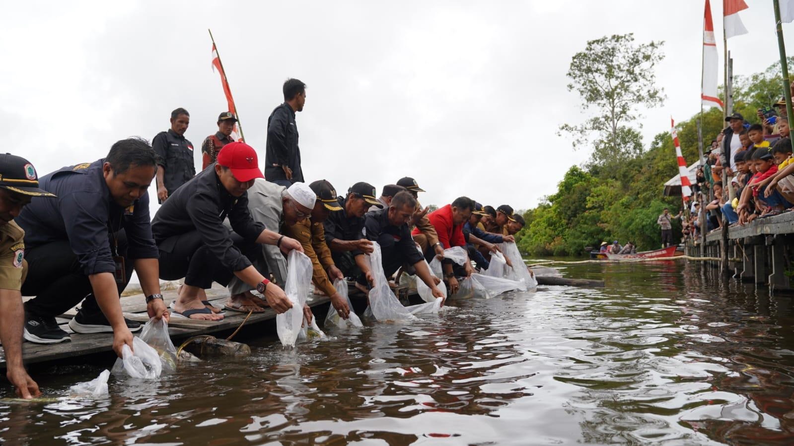 PELEPASAN: Sejumlah ikan Arwana saat dilepas oleh Bupati Kapuas Hulu Fransiskus Diaan di Danau Lindung, Desa Empangau, Selasa (28/11).