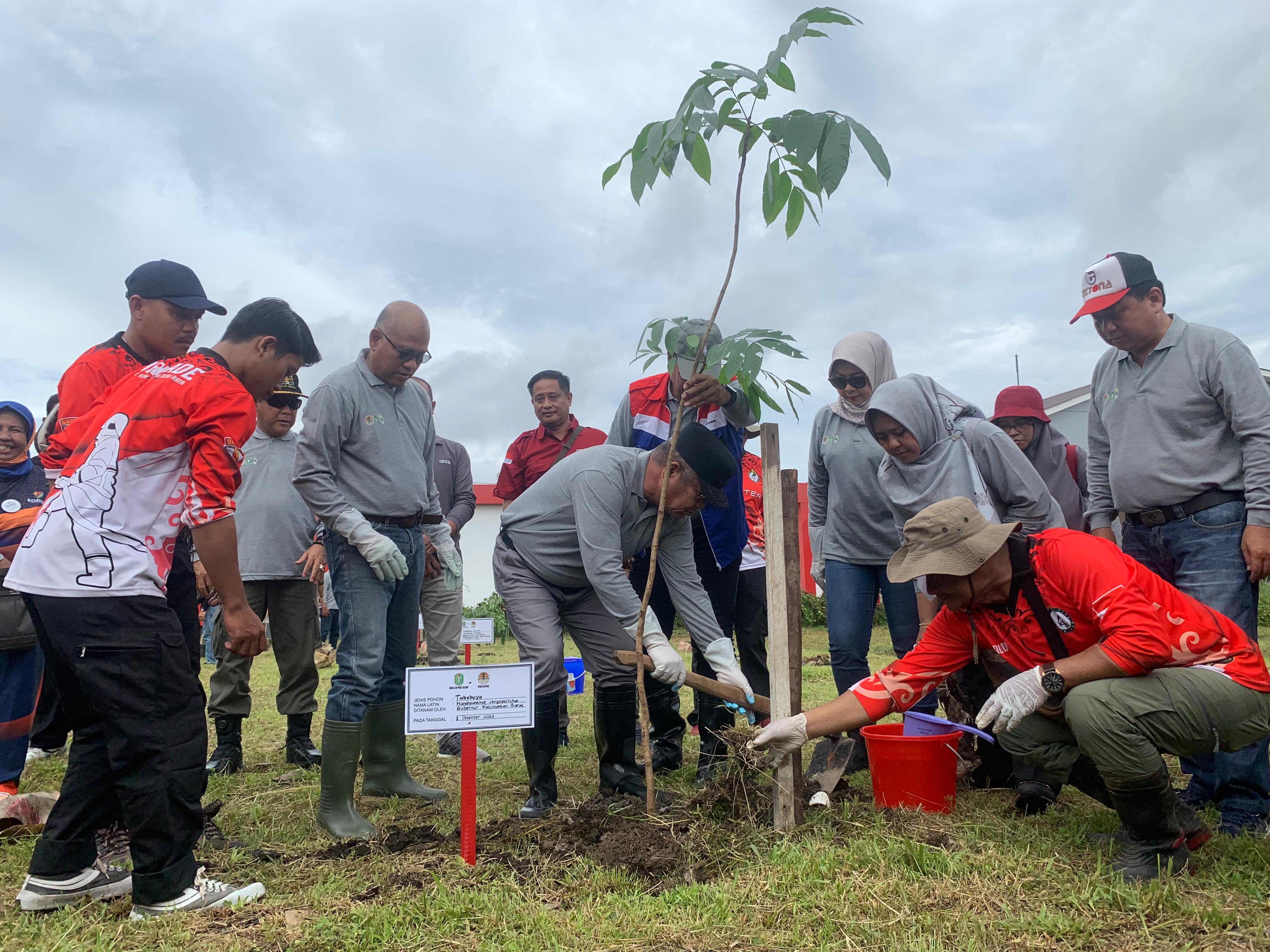 Peringatan Hari Menanam Pohon Tahun 2023 di Kalimantan Barat.