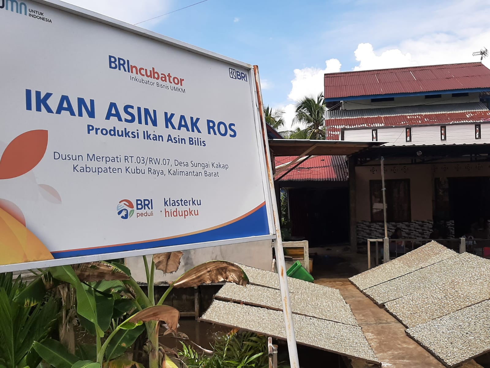 Kegiatan menjemur ikan di rumah Roslah, usaha rumahan Ikan Asin Kak Ros.