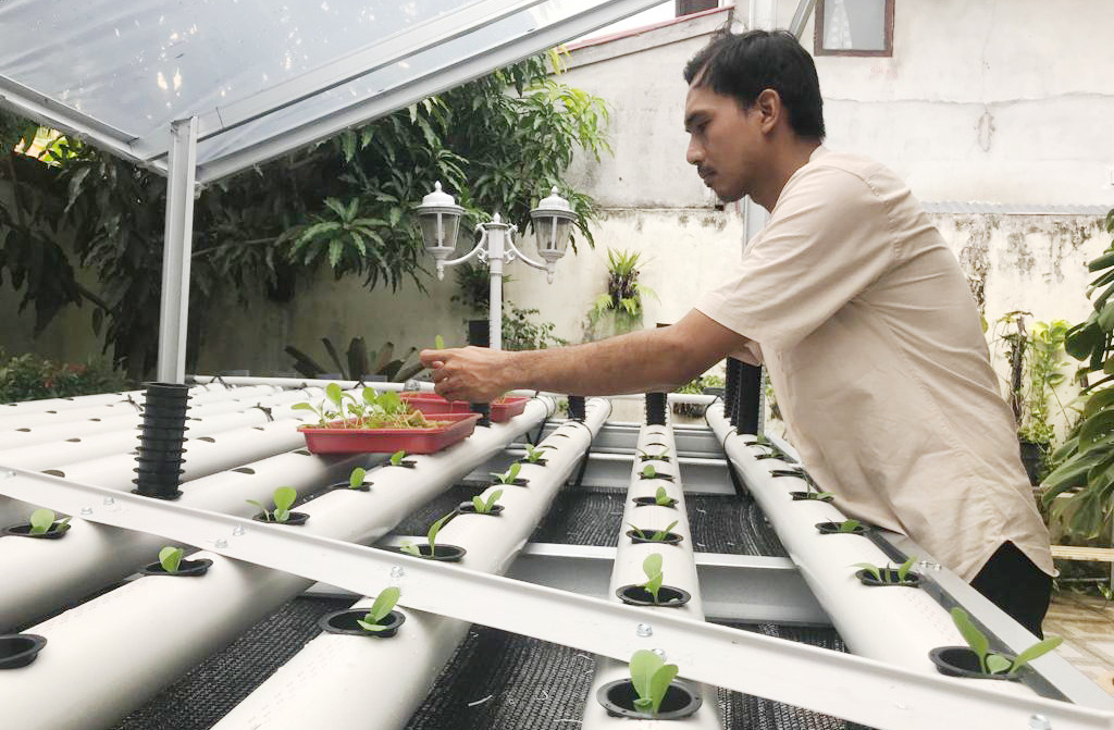 Inovasi bidang pertanian Hidroponik sistem NFT dapat menjadi peluang usaha yang cukup menjanjikan, serta menjadi solusi keterbatasan lahan di tengah tantangan perubahan iklim global.