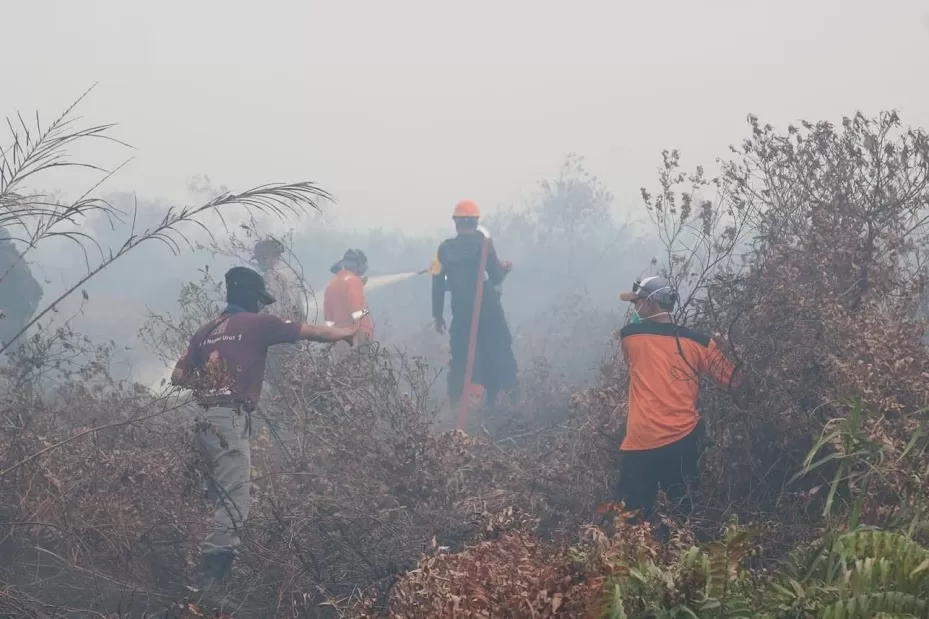 Kondisi  kabut asap di kawasan Pelang Sungai Melayu, Ketapang pada Sabtu (2/9). Petugas berjibaku untuk memadamkan api saat terjadi kebakaran hutan dan lahan.