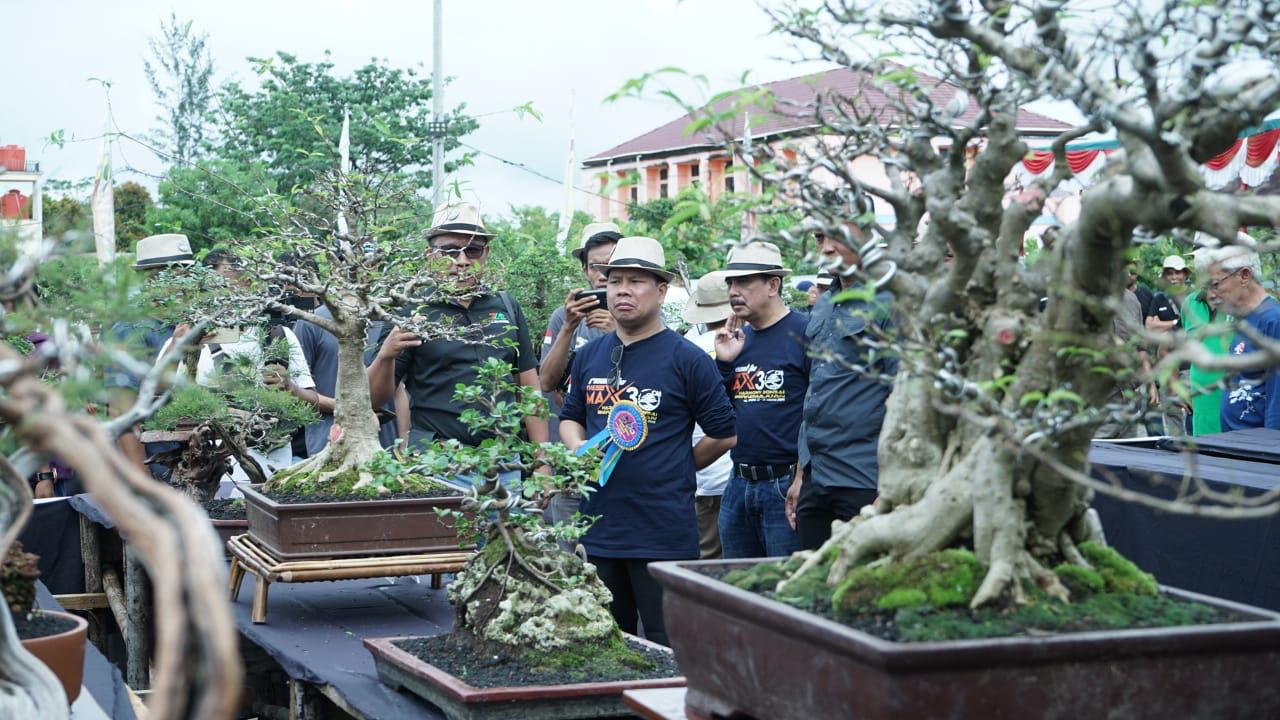 HADIR: Bupati Sambas Satono saat melihat koleksi pecinta bonsai yang ikuti kontes di Sambas, Minggu (14/1).