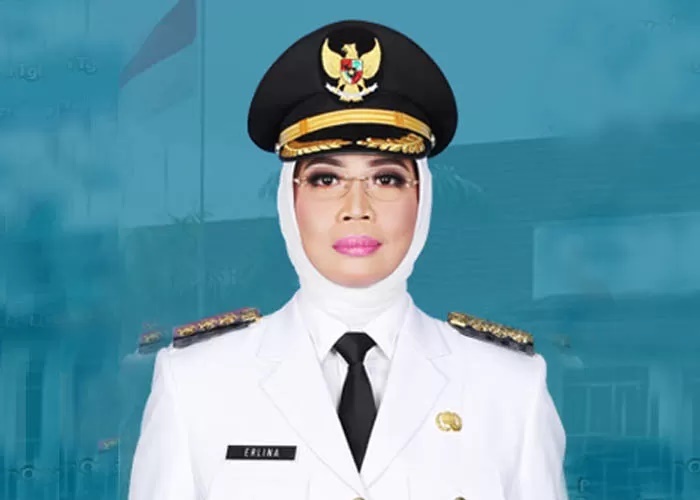 Bupati Mempawah, Erlina