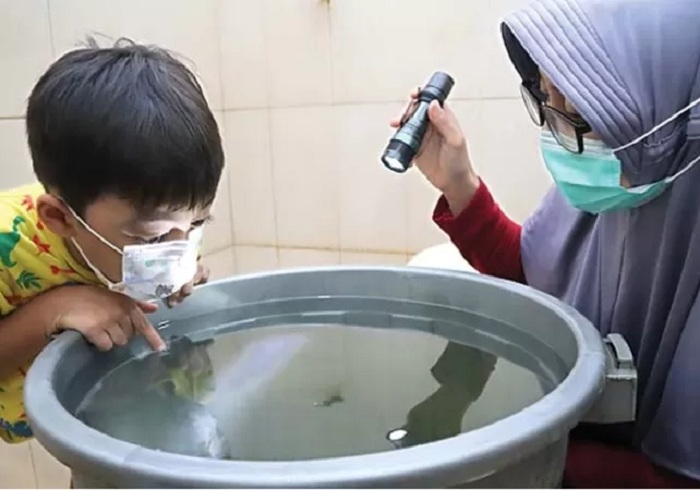 PANTAU JENTIK: Ilustrasi pemantauan jentik-jentik nyamuk. Pemantauan jentik&ndash;jentik secara berkala menjadi salah satu upaya dalam pemberantasan nyamuk Aedes aegypti.