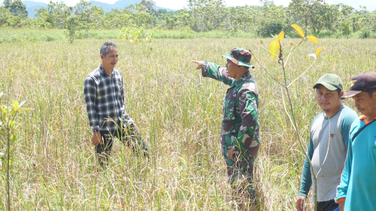 TINJAU LOKASI: Pasiter Kodim 1206 Psb saat meninjau lokasi akan dibangunnya pompanisasi di Desa Suka Maju.