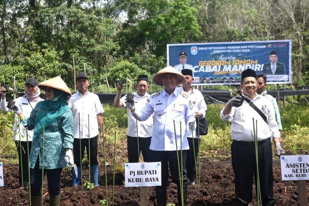 TANAM CABAI: Pj Bupati Kubu Raya, Syarif Kamaruzaman meluncurkan gerakan tanam cabai di Kecamatan Terentang.