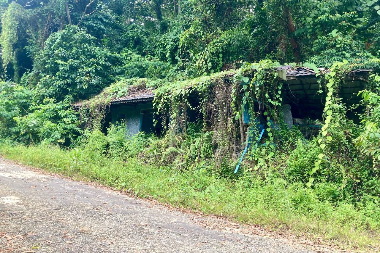Teks: bekas kandang satwa di  kebun binatang Sinka Zoo Singkawang terbengkalai.