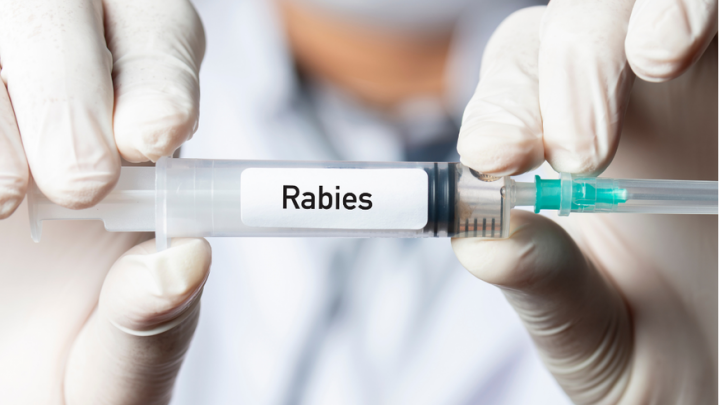 Ilustrasi vaksin antirabies.