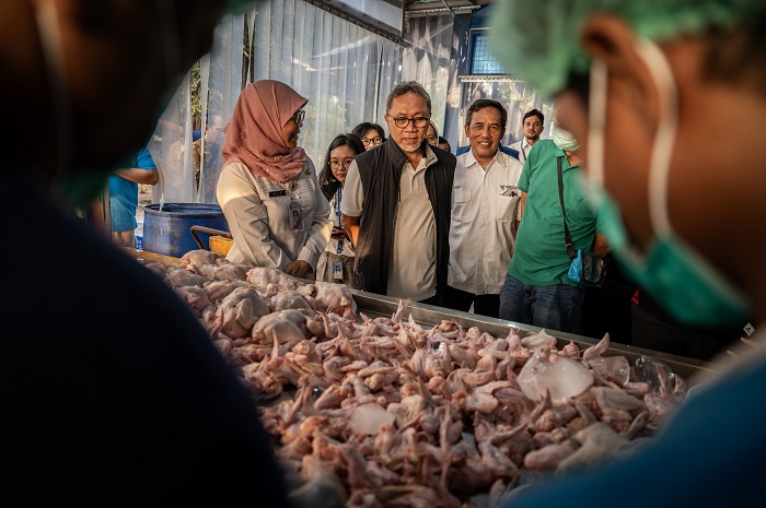 Menteri Perdagangan Zulkifli Hasan (dua kiri) didampingi Kepala Dinas Ketahanan Pangan, Kelautan dan Pertaninan (KPKP) DKI Jakarta Suharini Eliawati (kiri) mengecek ayam potong saat meninjau Rumah Potong Hewan Unggas (RPHU) Rawa Kepiting di Cakung, Jakart