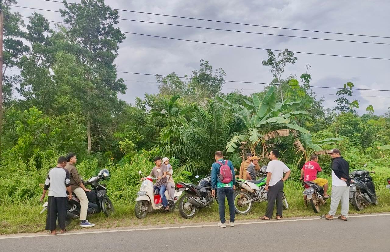 Tim Wildlife Rescue Unit (WRU), melalui SKW I Ketapang dengan melakukan Groundcheck ke lokasi keberadaan orang utan di Desa Riam Berasap.