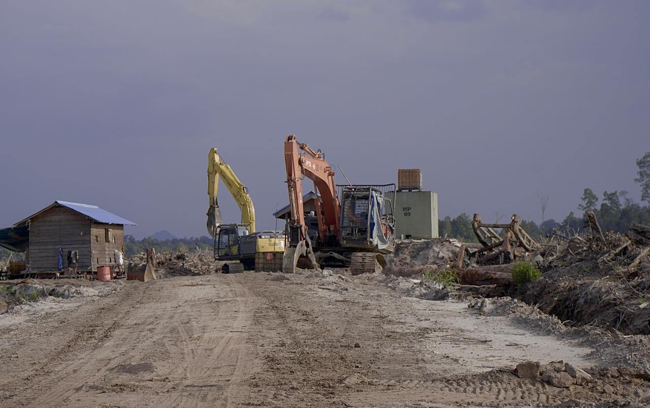 Alat Berat: Sejumlah excavator tersusun rapi usai melakukan operasi pembukaan hutan di dalam konsesi PT. Mayawana Persada, di Kecamatan Simpang Hulu, Kabupaten Ketapang.