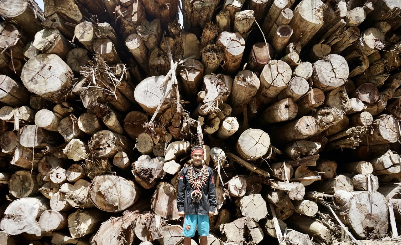 Tumpukan Kayu: Ribuan kubik kayu bulat hasil tebangan hutan alam tersusun begitu saja di wilayah konsesi PT. Mayawana Persada di Kecamatan Simpang Hulu, Kabupaten Ketapang, Kalimantan Barat.